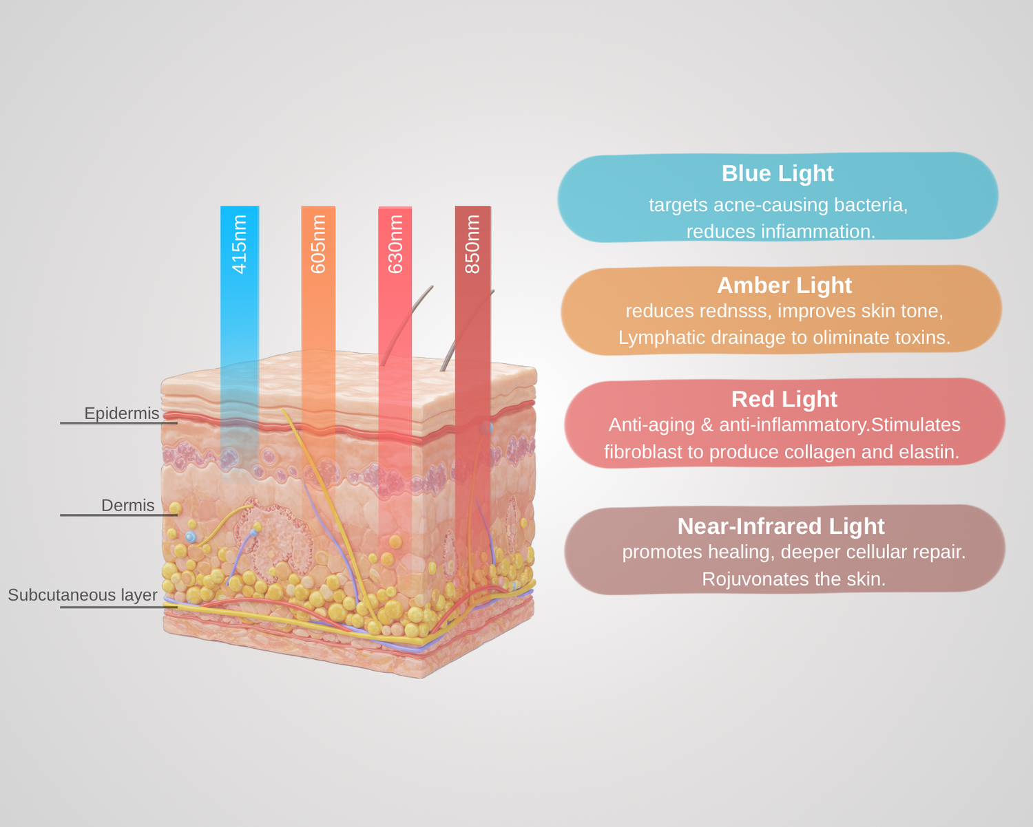 How LED light wavelength works and why it matters. How different light has different effects to the skin and penetrates in the different level  by showing the skin layers and wavelength penetration
